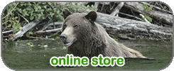 Online Store